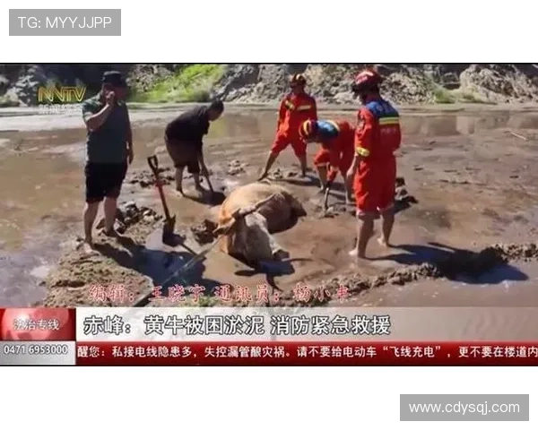 男子游泳水平不足贸然下河险些丧命侥幸生还提醒勿轻易尝试危险水域